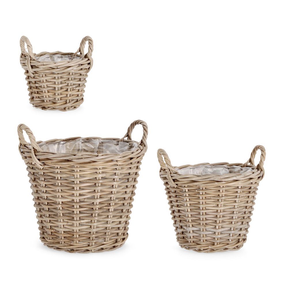 Cesta Randy