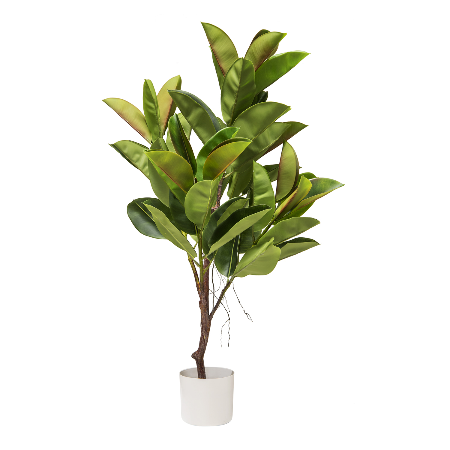 Chi 57975 Pianta Ficus Elastica Real Touch 75*70*115Cm