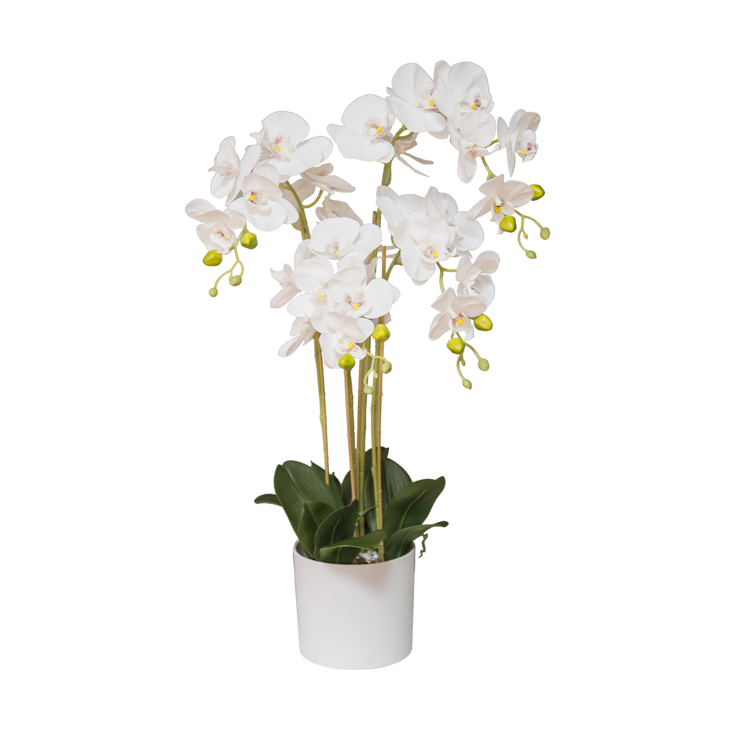 Gyi 58063 Pianta Orchidea Real Touch 30 Fiori 80Cm 4 Ass.