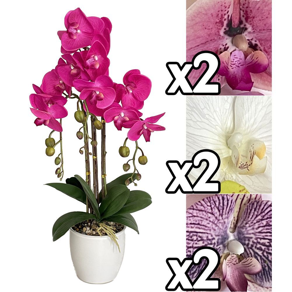 Mei 60169 Orchidea Real Touch Vaso 66Cm 3 Ass.