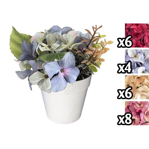 Nic 59527 Mini Ortensia Vaso 17Cm 4 Ass.