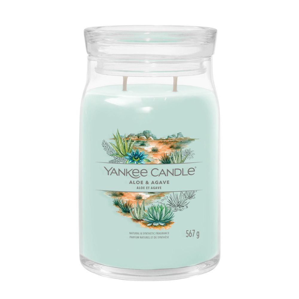 Aloe & Agave - Giara Grande 2 Stoppini
