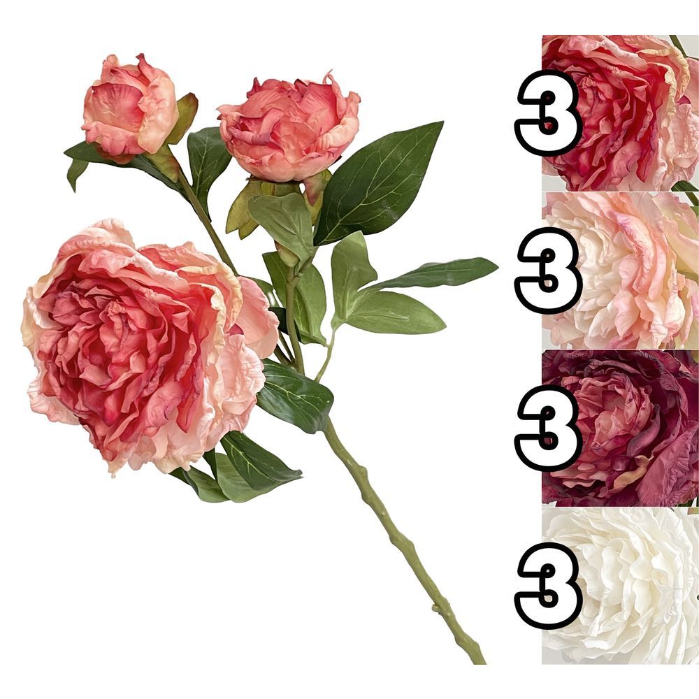 AME 62099 Stelo Peonie E Boccioli 64Cm 4 Ass.