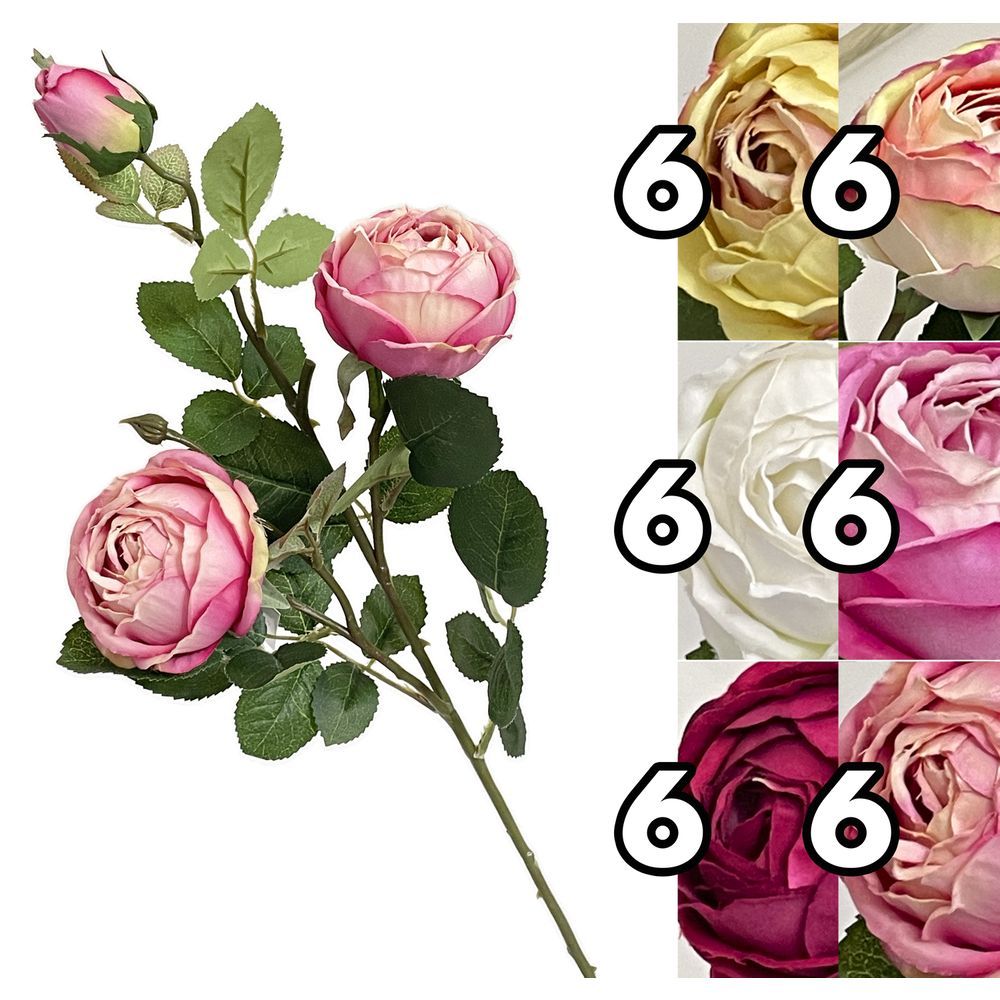 GYI 62125 Stelo Peonia 3 Fiori Elegant 75Cm 6 Ass.