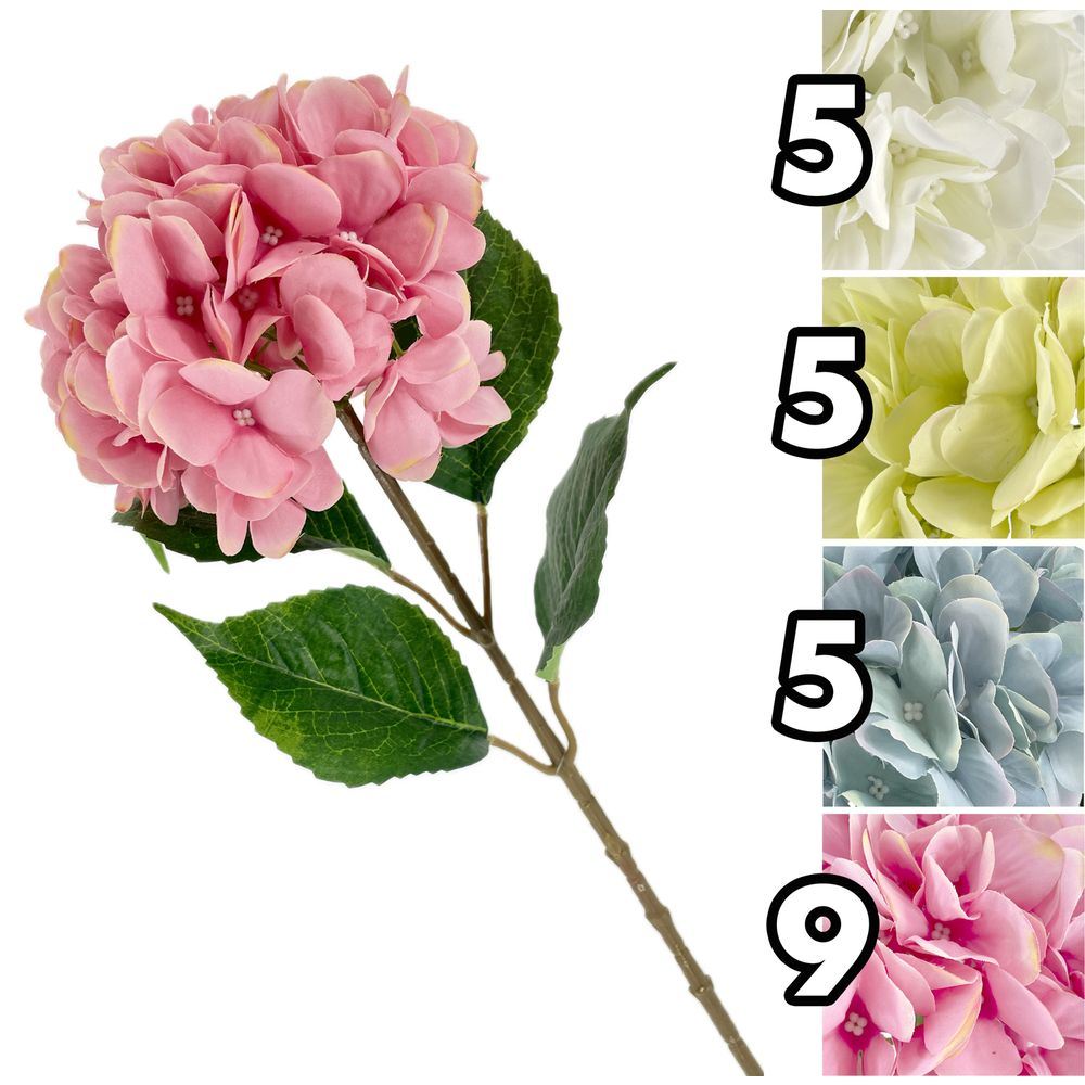 FAN 62228 Stelo Ortensia Superior 80Cm 4 Ass.