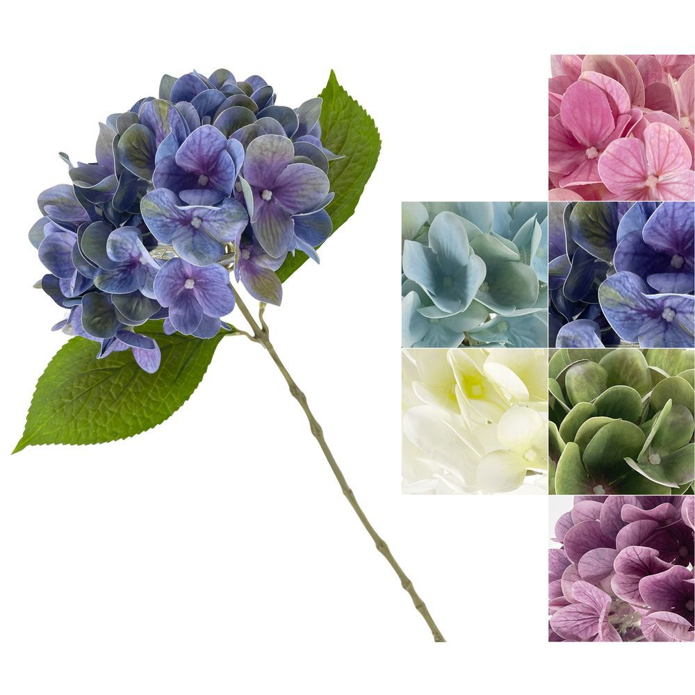 GIG 62199 Stelo Ortensia Nature 60Cm 6 Ass.