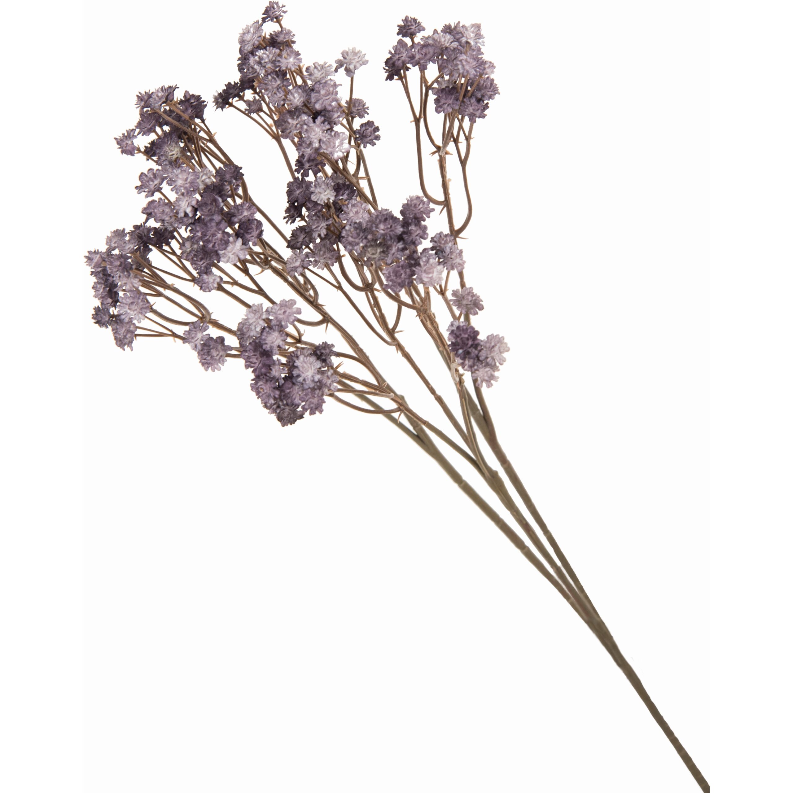 Miu 49423 Stelo Lavanda H.86Cm 2Ass.