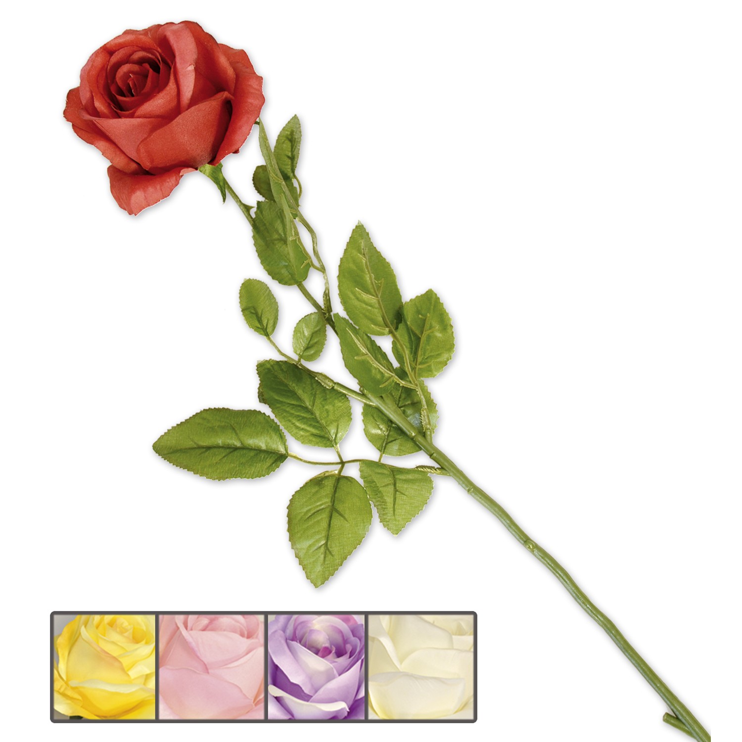 Nic 29254 Rosa Standard New 5C.A Ss. 24/72