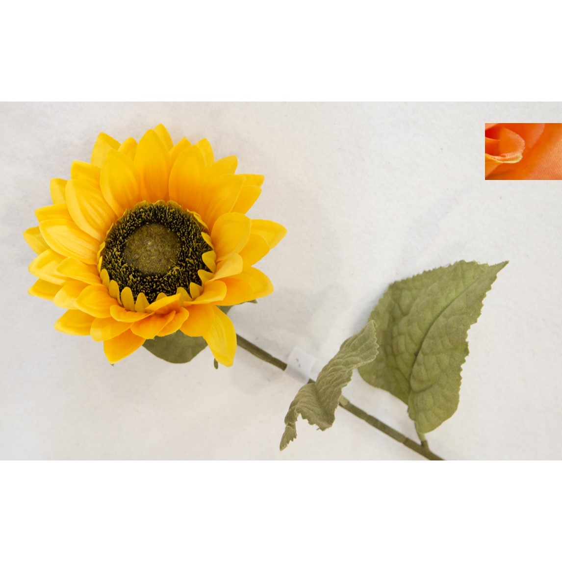 Nic 37343 Girasole Singolo Autunno