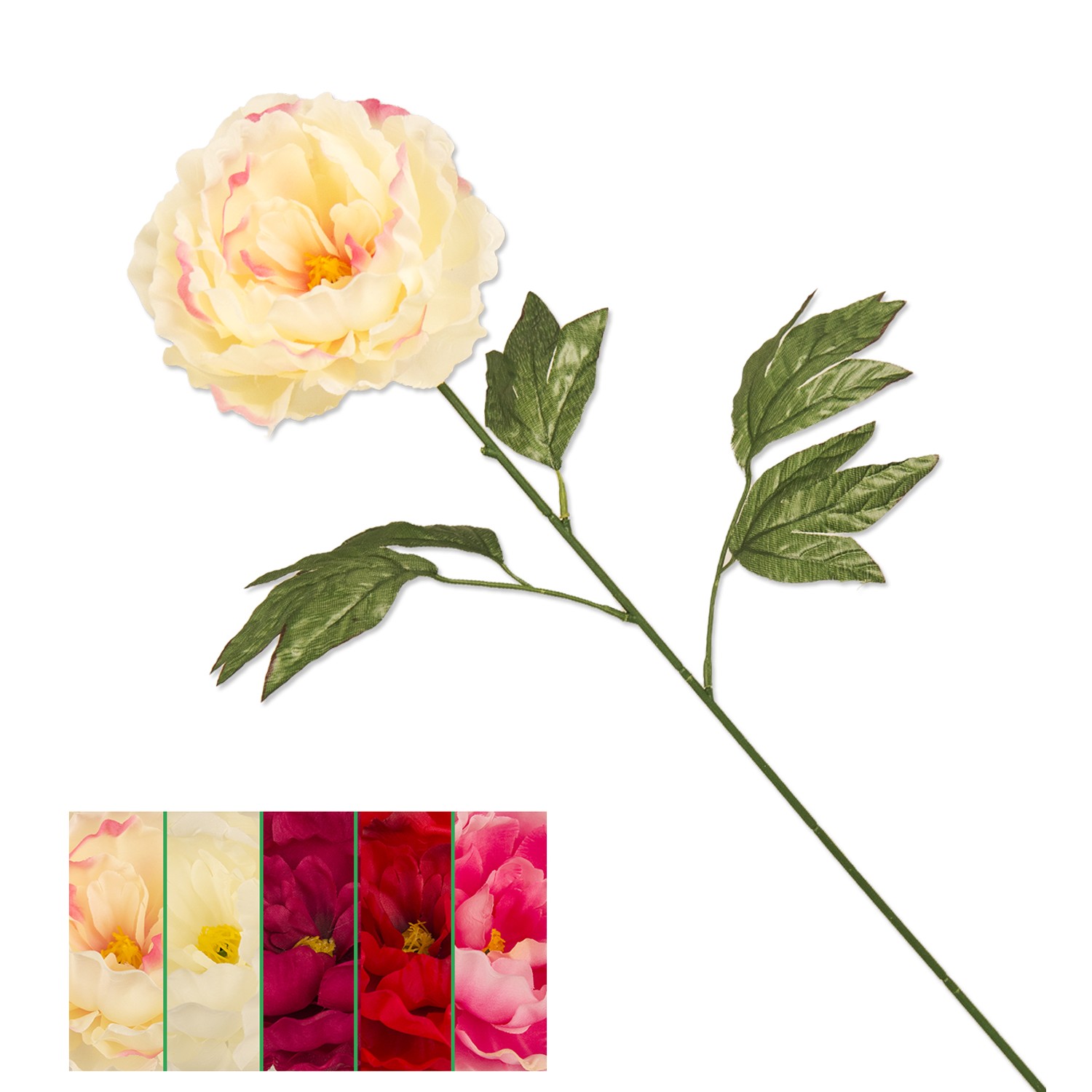 Nic 37588 Stelo Peonia Ass. 24/144-72