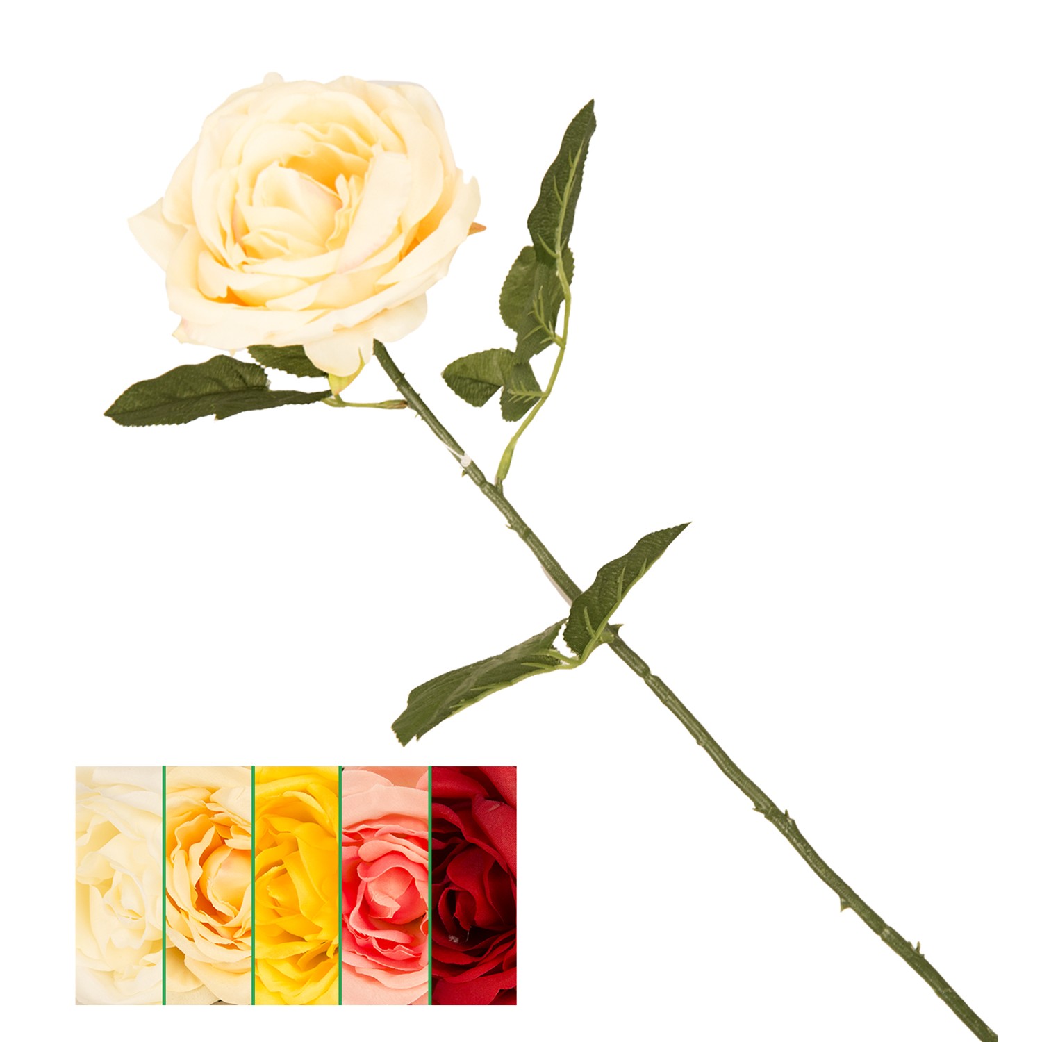 Nic 37596 Rosa Parigina Ass. 24/72