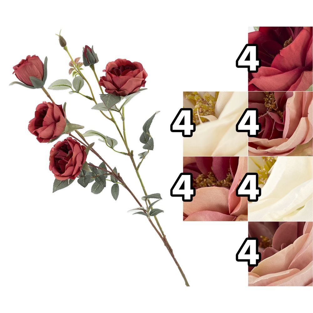 NIN 62207 Stelo Rosa Harmony 68Cm 6 Ass.