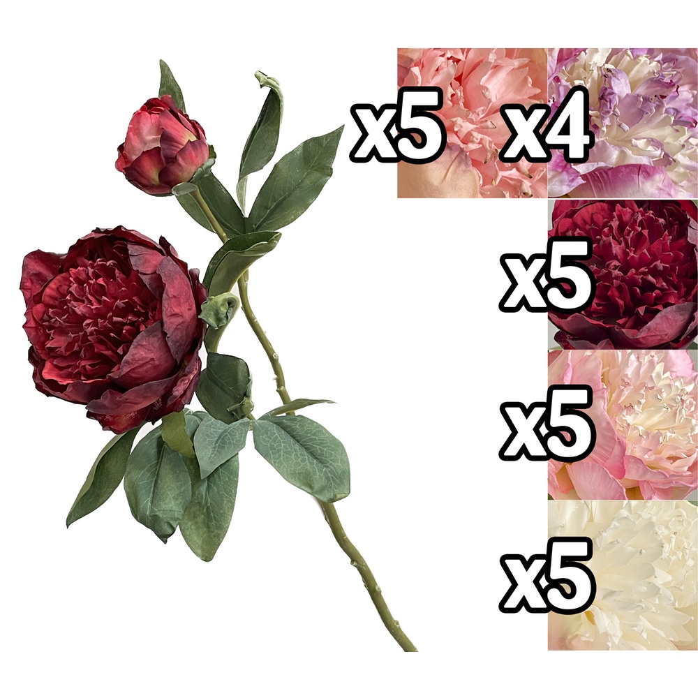Tin 59866 Stelo Peony 2 Fiori 47Cm 5 Ass.