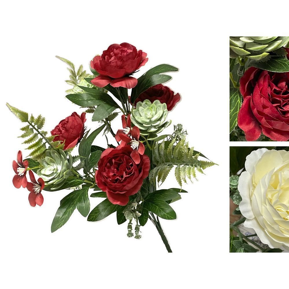 XIA 60534 Bush Ranuncolo Mix H.35Cm 5 Ass.