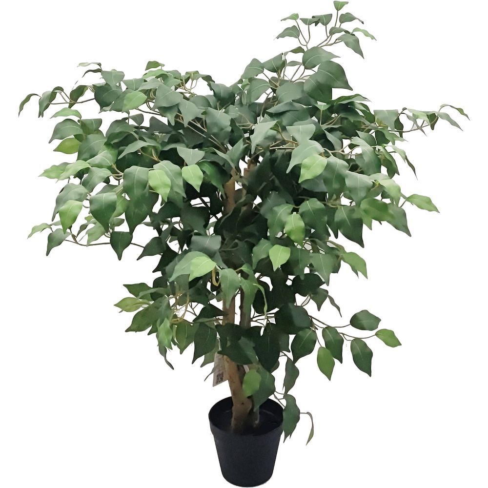 SIL 62107 Pianta Ficus Potted 80Cm