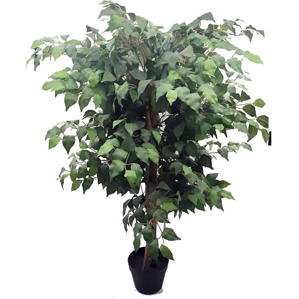 SIL 62108 Vaso Ficus 120Cm