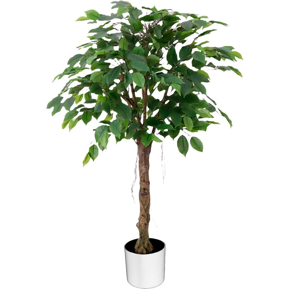 CHI 62299 Albero Ficus 559 Foglie 120Cm