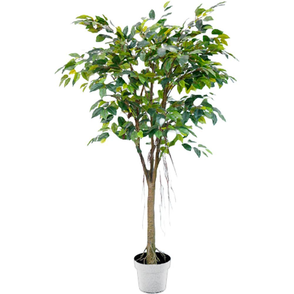 CHI 62300 Albero Ficus 880 Foglie 150Cm