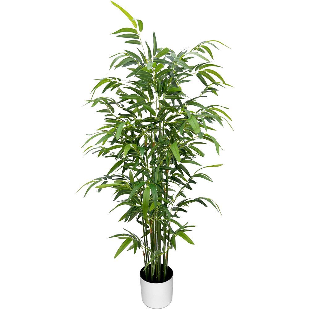 CHI 62301 Pianta Bambu' 672 Foglie 160Cm