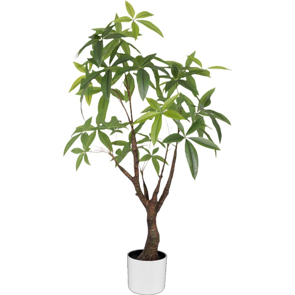 CHI 62303 Albero Tropicale Pachira 180 Foglie 100Cm