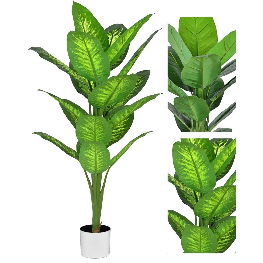 CHI 62308 Pianta Tropical Dieffenbachia 19 Foglie 120Cm 2 Ass.