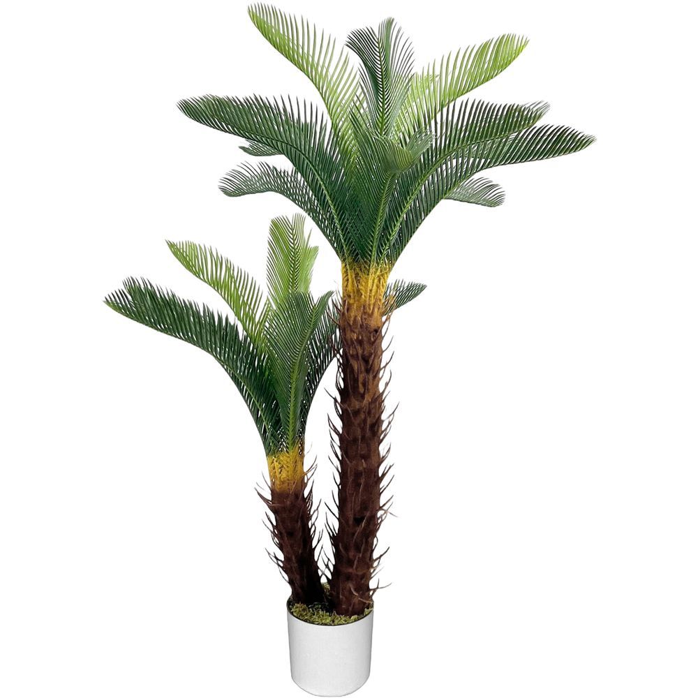 CHI 62310 Pianta Doppia Cycas 125Cm