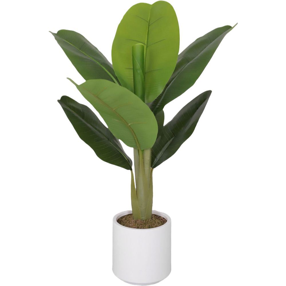 CHI 62311 Pianta Banano 8 Foglie 75Cm