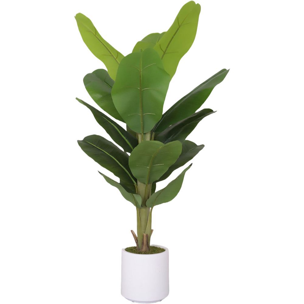 CHI 62312 Pianta Banano 16 Foglie 120Cm