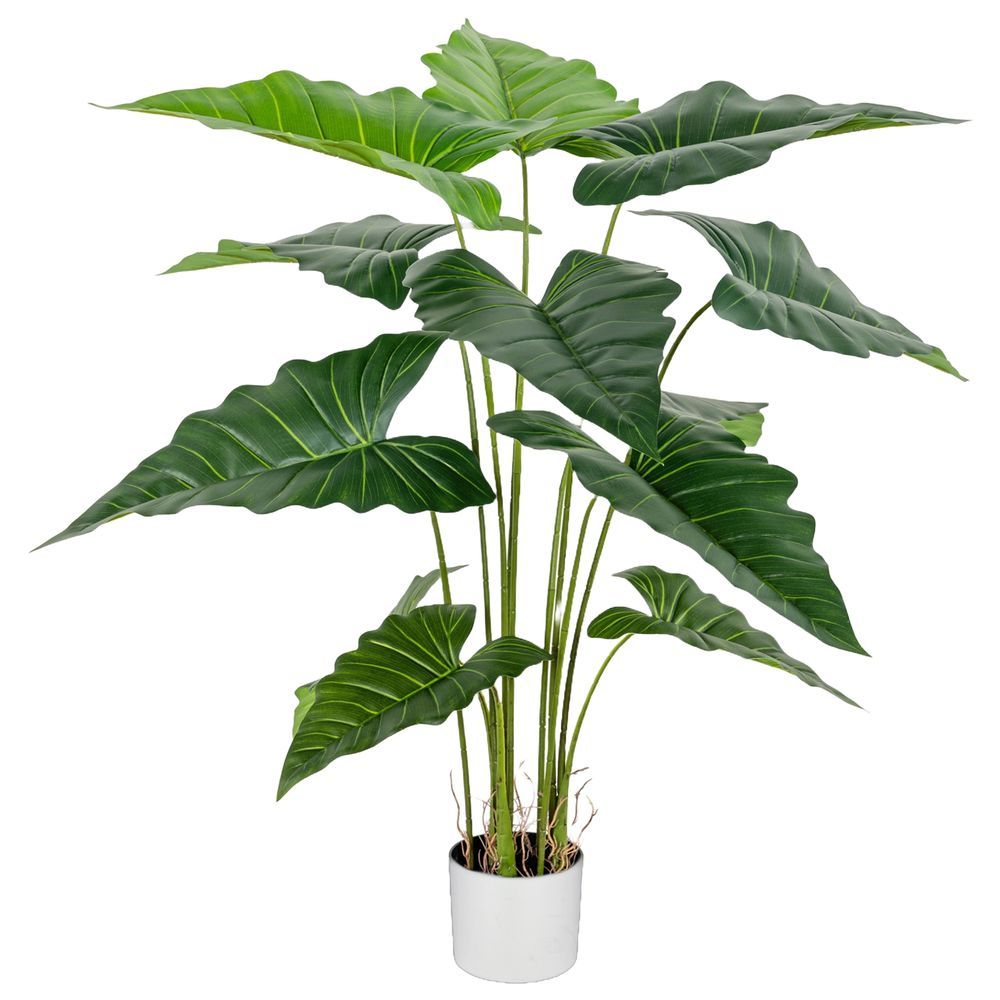 CHI 62314 Pianta Alocasia 125Cm