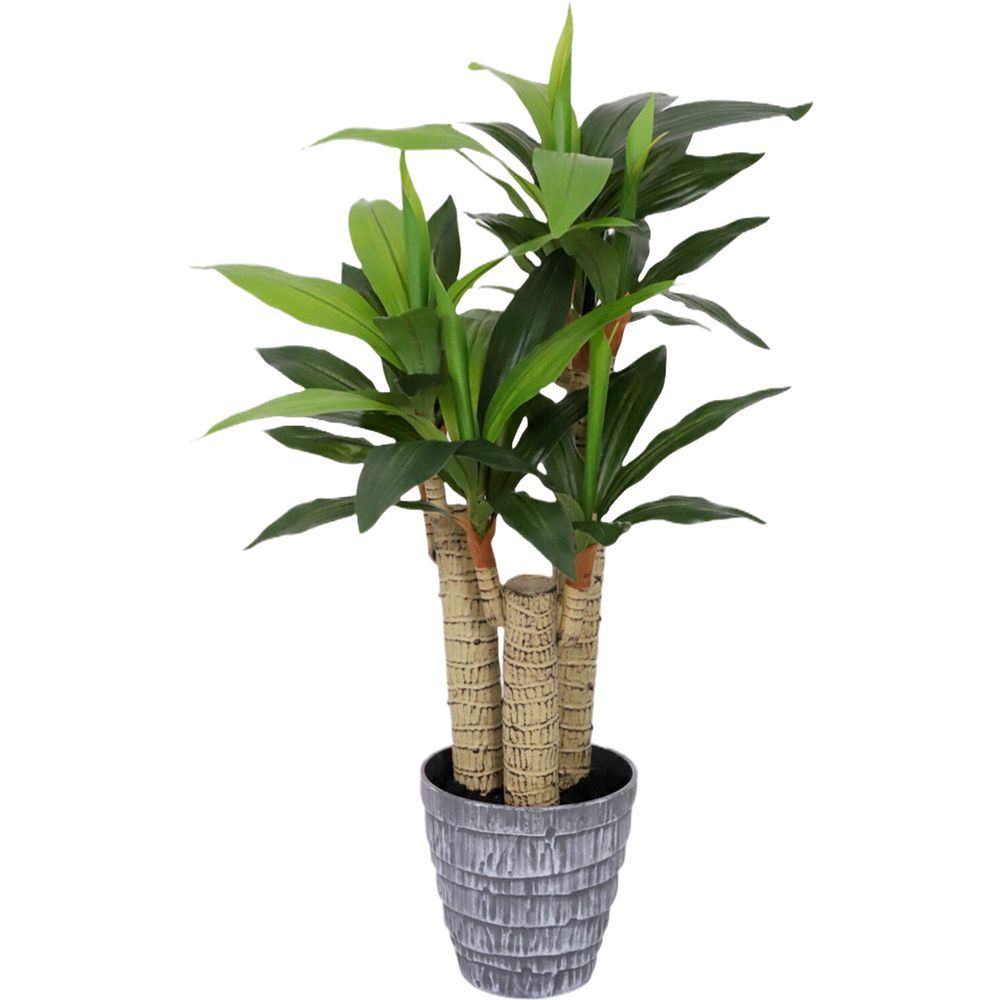 CHI 62315 Vaso Dracena 58 Foglie 85Cm