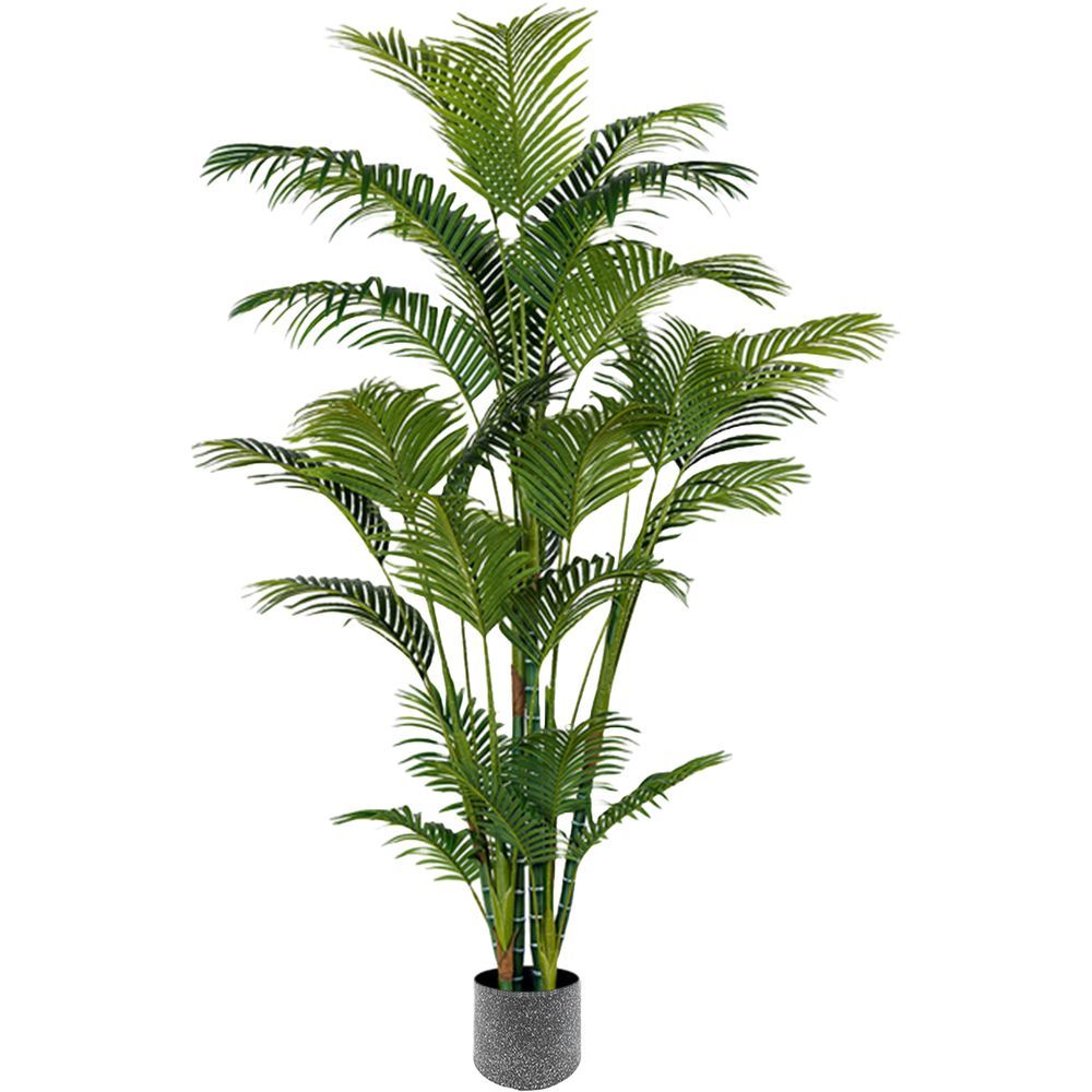 CHI 62316 Palma Real Touch 210Cm