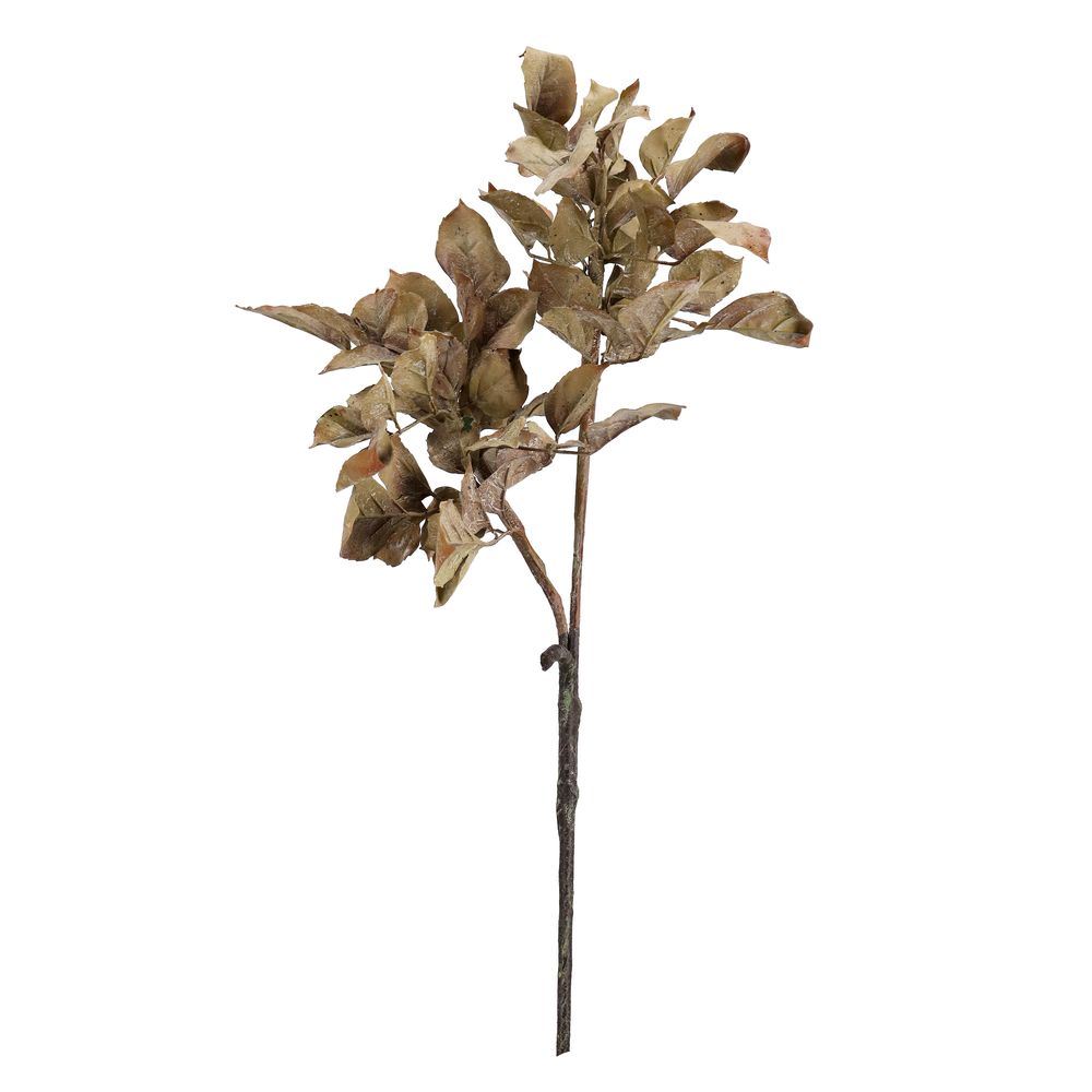 Ramo Shelby Foglie Beige H92Cm