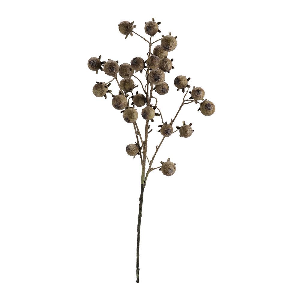 Ramo Darby C-Bacche Verde H90Cm