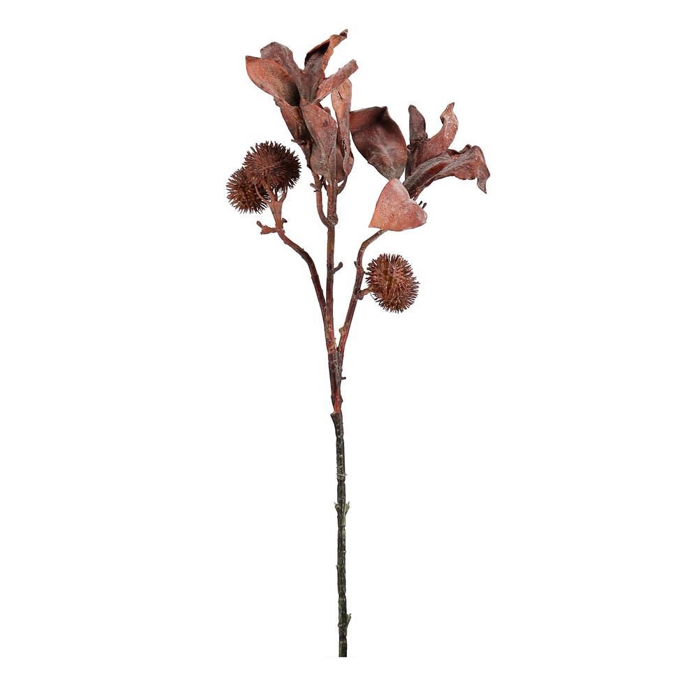 Ramo Antony Foglie C-Bacche Arancio H65