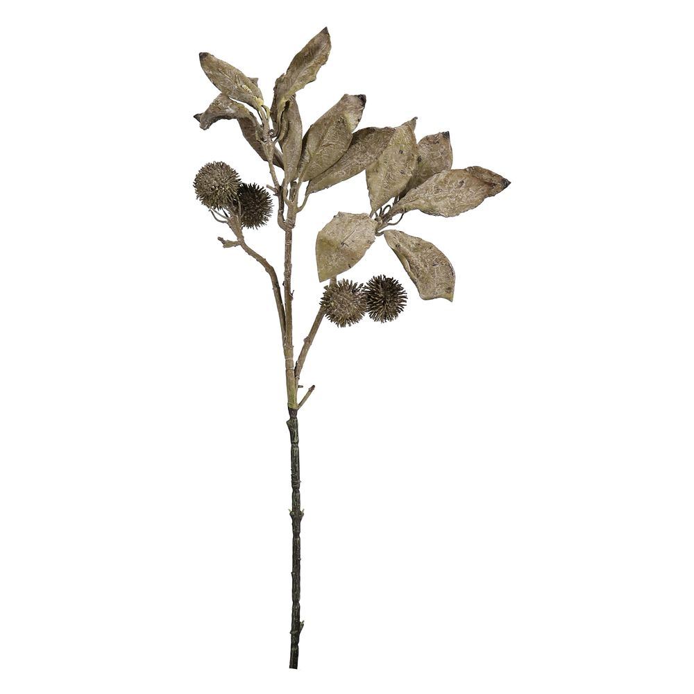 Ramo Antony Foglie C-Bacche Verde H65Cm