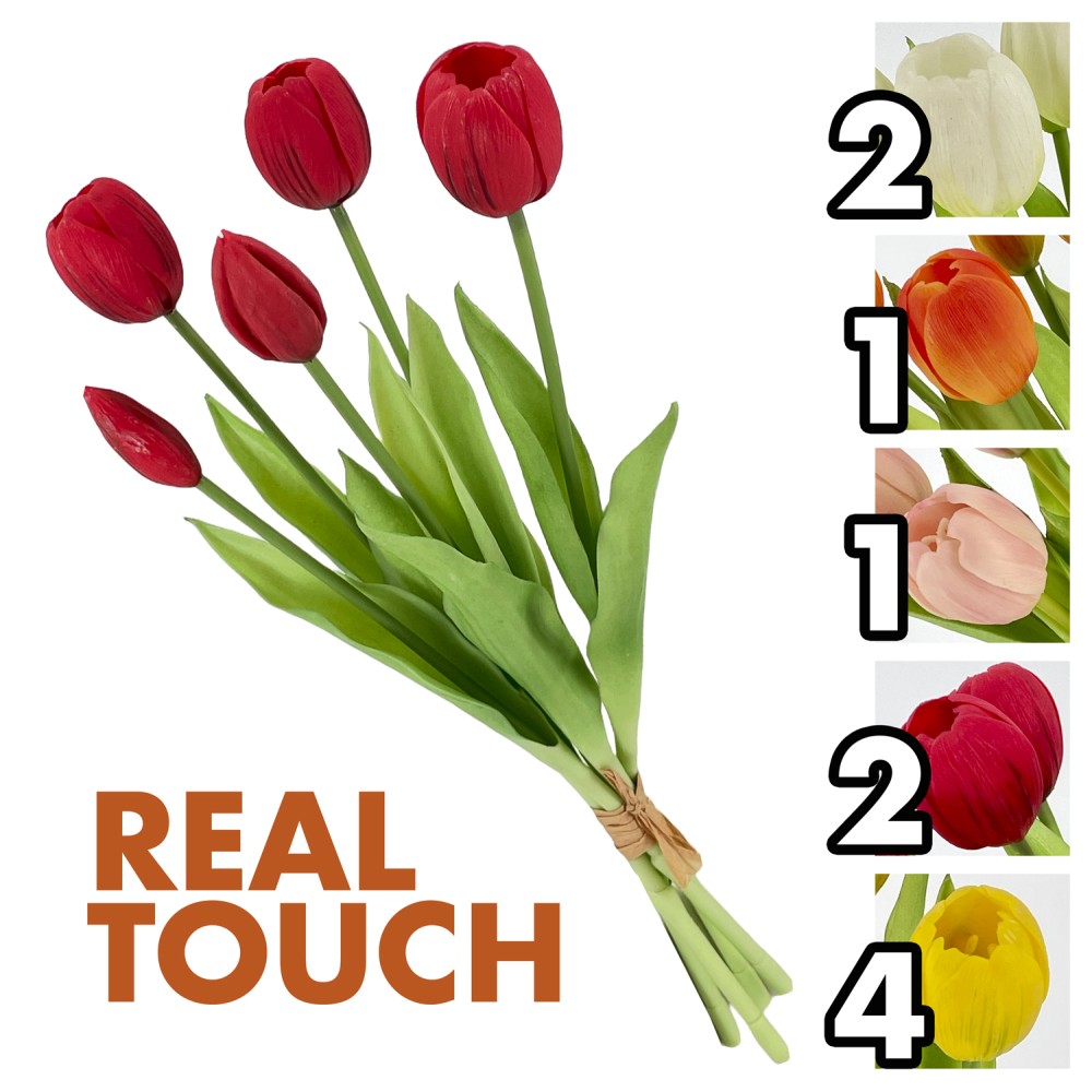 AME 62404 Bush Tulipani Jolie 5Fiori 39,5Cm 5 Ass.