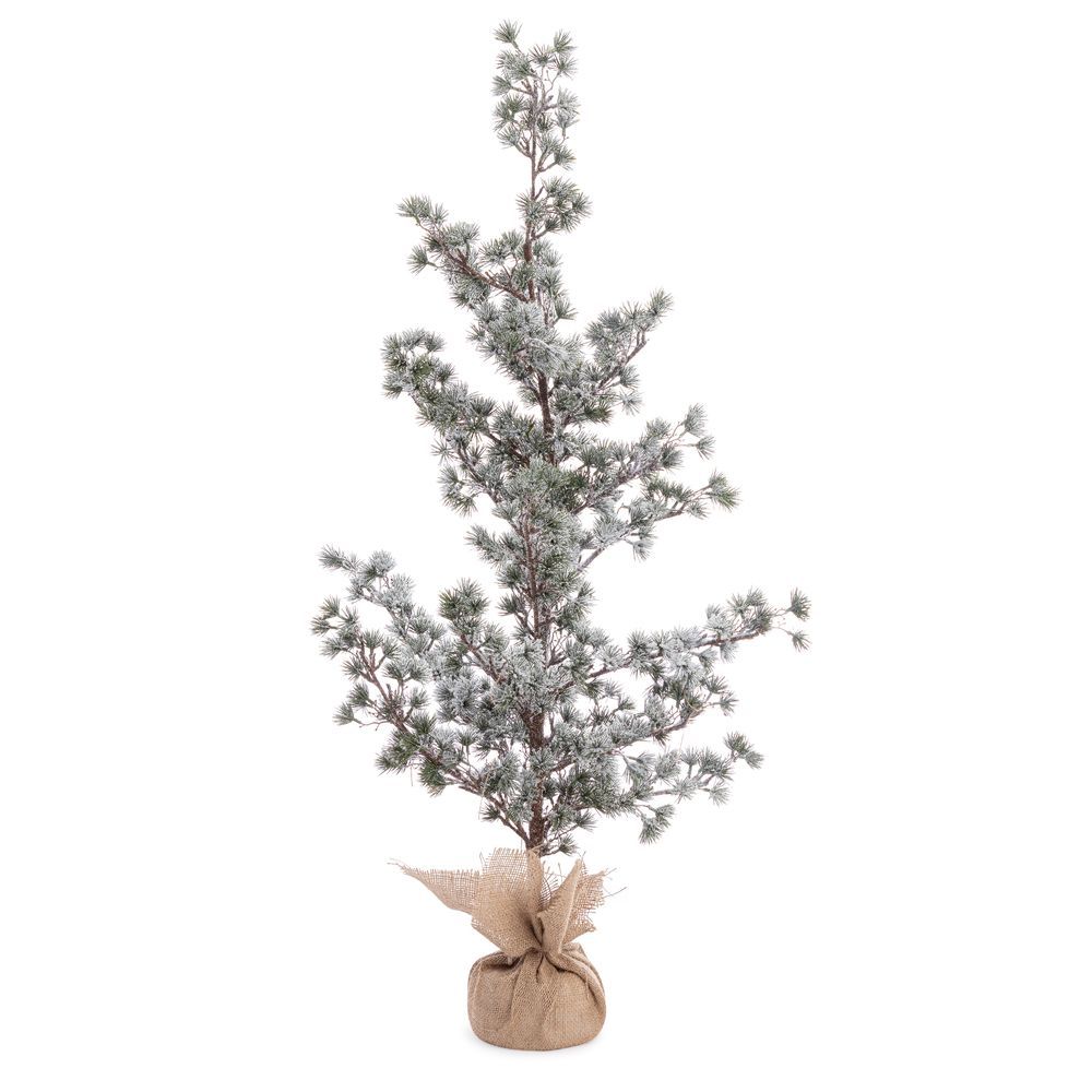 Pino Sneffels Ghiacciato H115